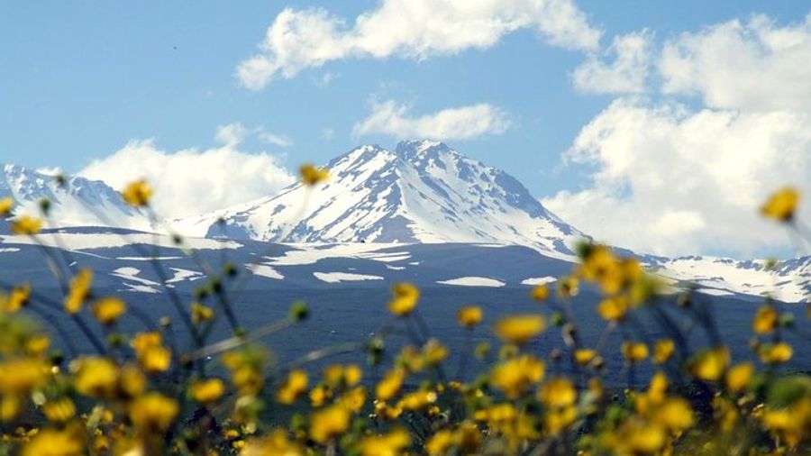 Group Tour: Amberd, Aragats, Lake Kari, Saghmosavank, Alphabet