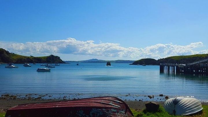 Waiheke Island Small-Group Coastal Day Walk with Lunch