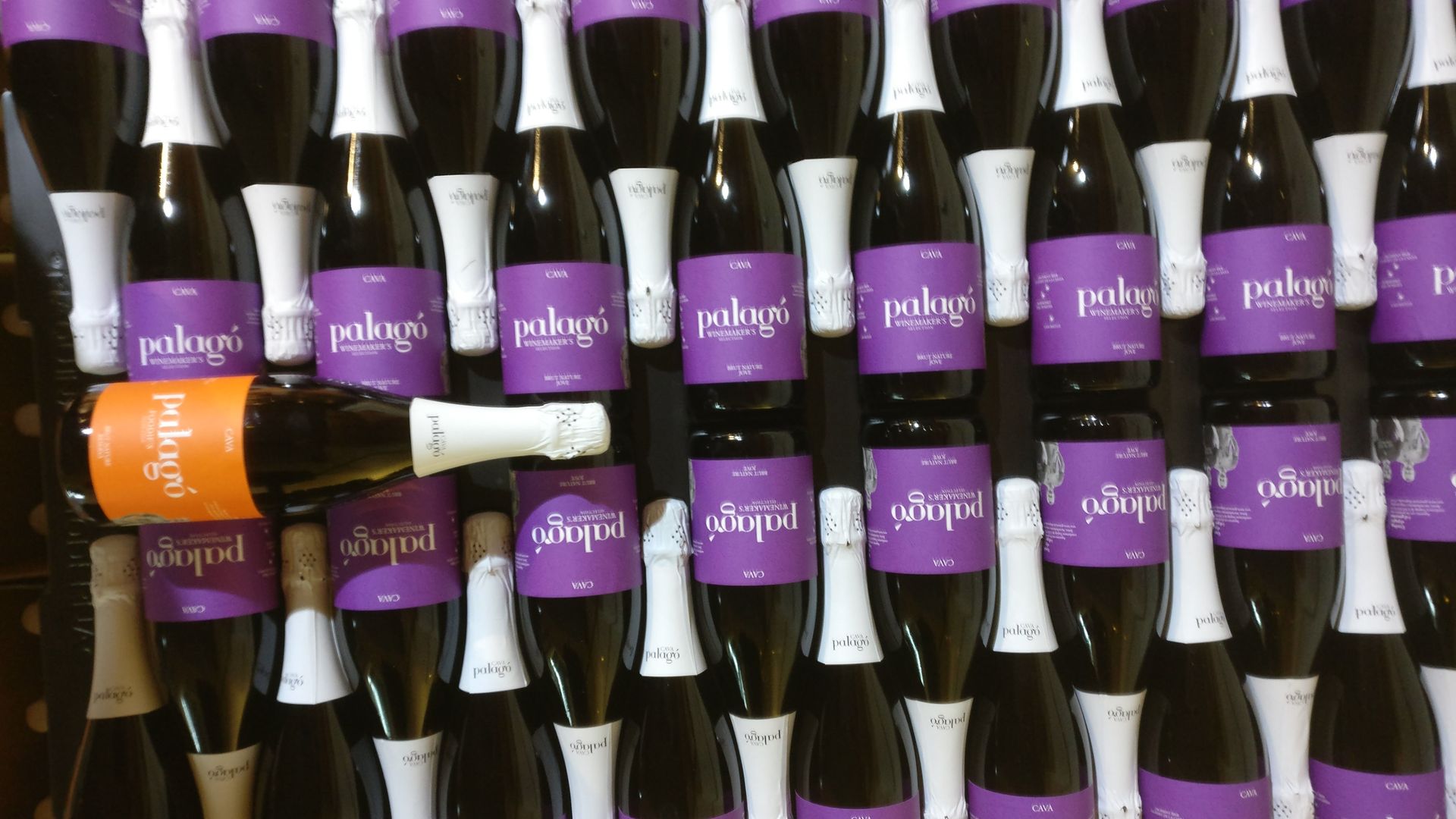 Your Cava, Your Story – Wine workshop experience at Artcava