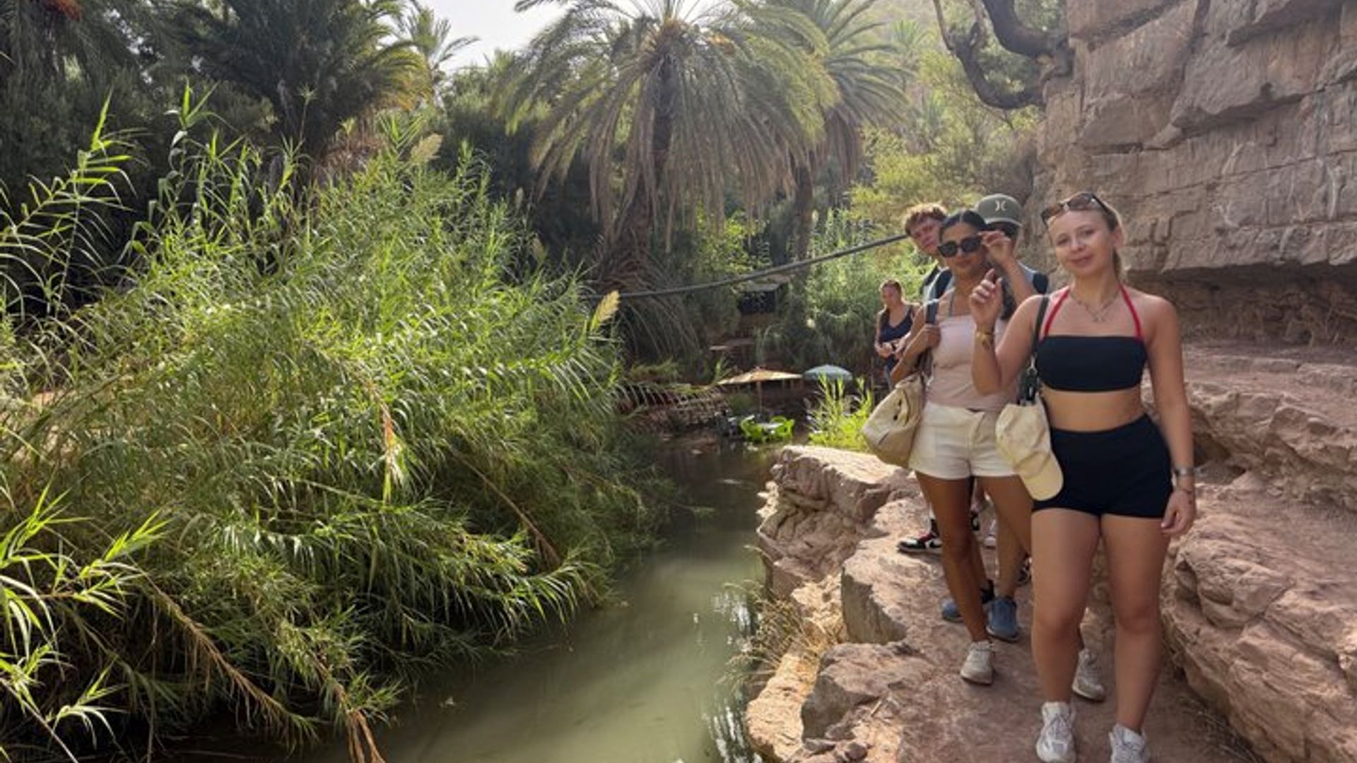 Excursión al Valle del Paraíso y la Montaña Atlas con traslados al hotel