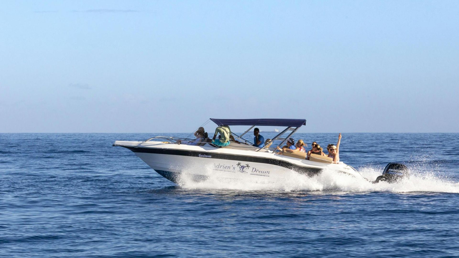 Mauritius whale watching speedboat tour