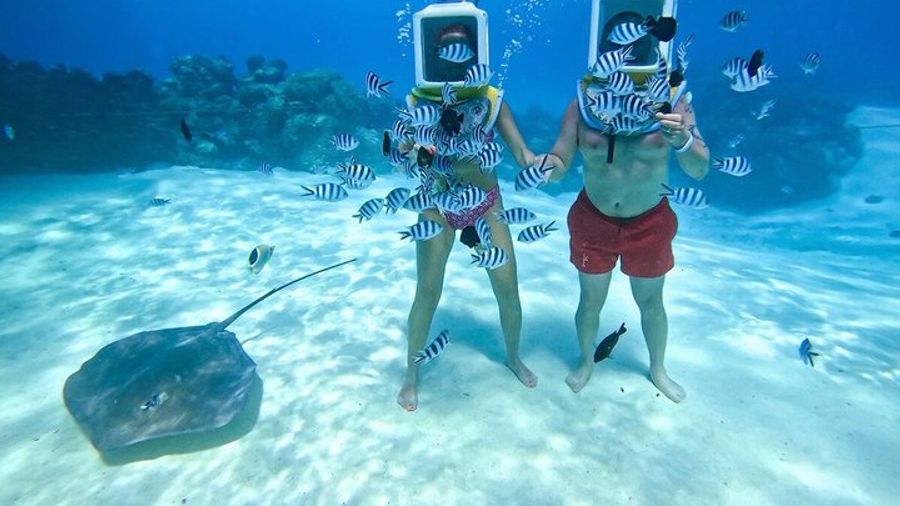Small-Group Aqua Safari Helmet Dive, Bora Bora Lagoon