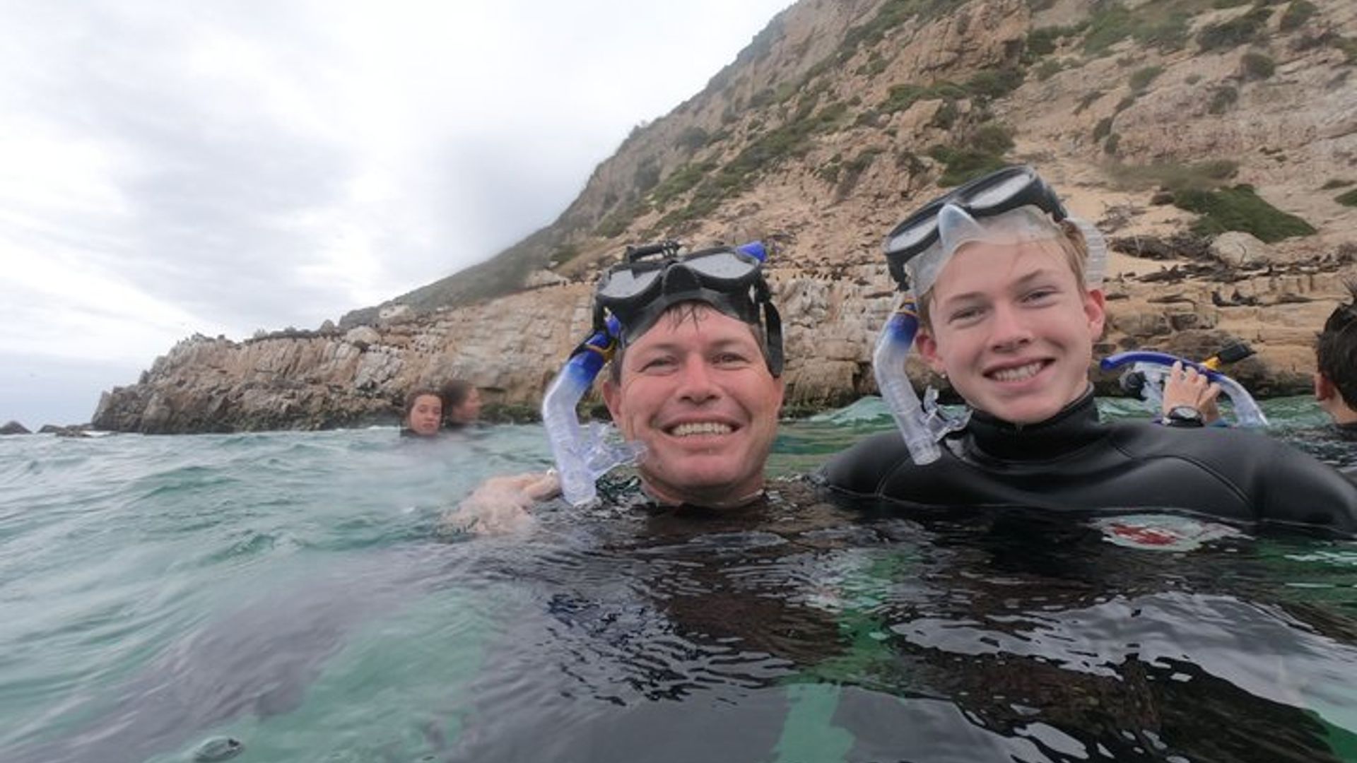 Actividad de natación de focas en Plettenberg Bay