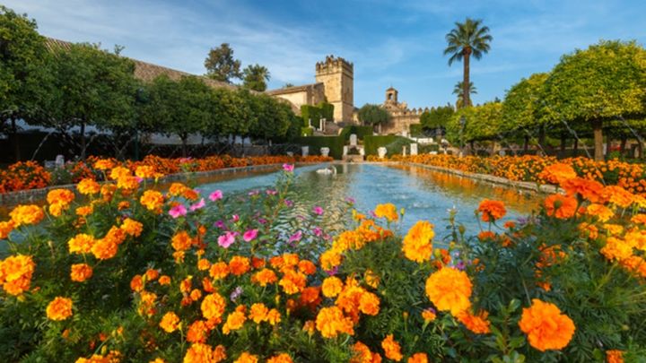 Guided tour of the Jewish Quarter and the Alcázar de los Reyes Cristianos