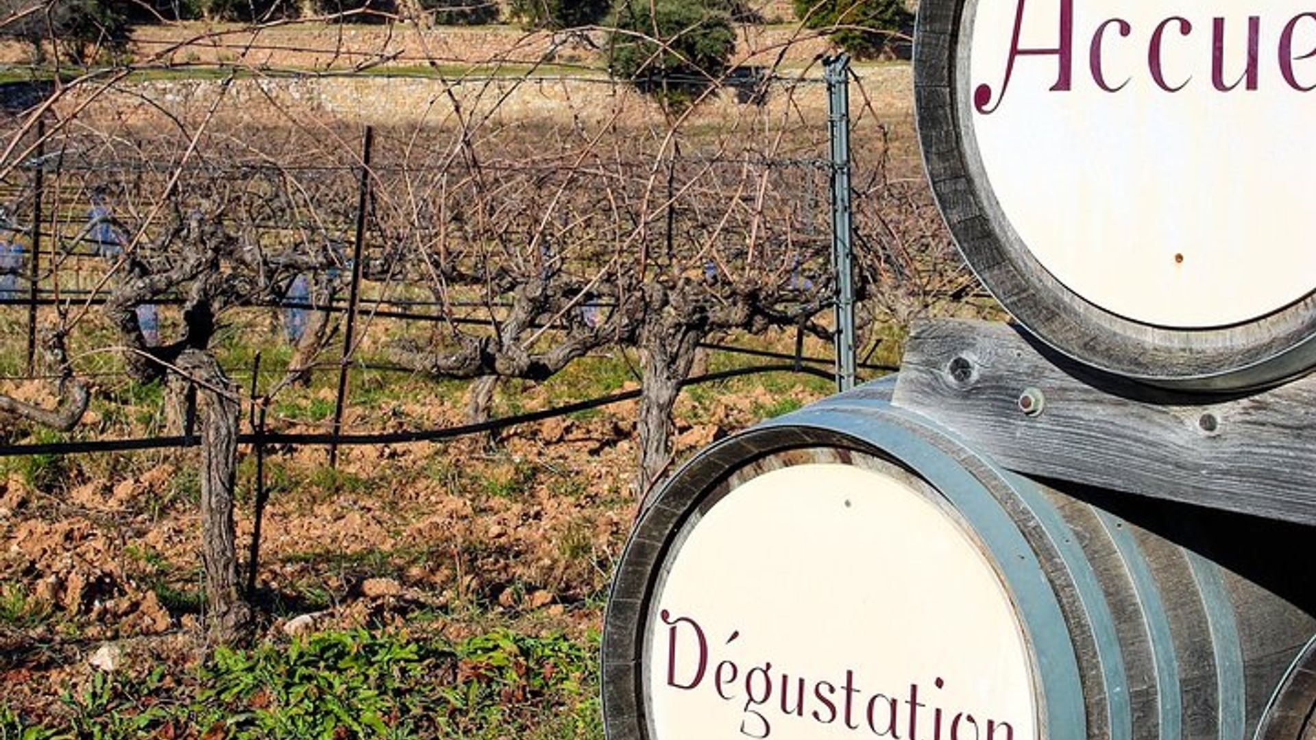 Tour gastronómico y vinícola de Provenza con un guía privado