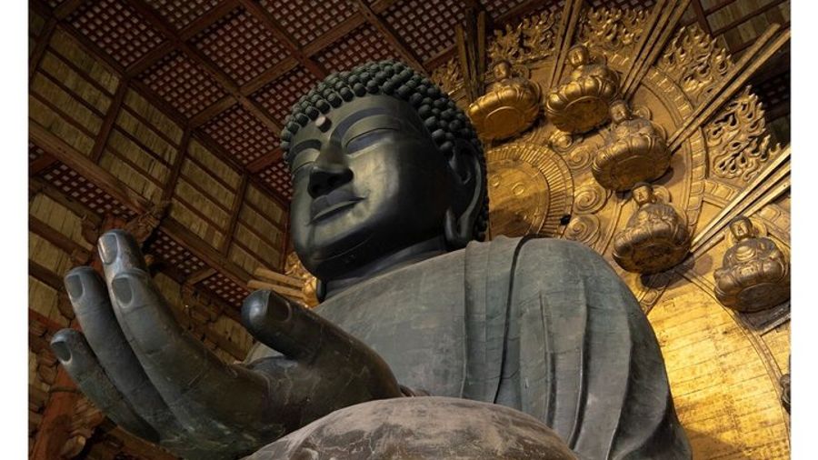 Nara Afternoon Tour From Kyoto or Osaka With Kasuga Shrine