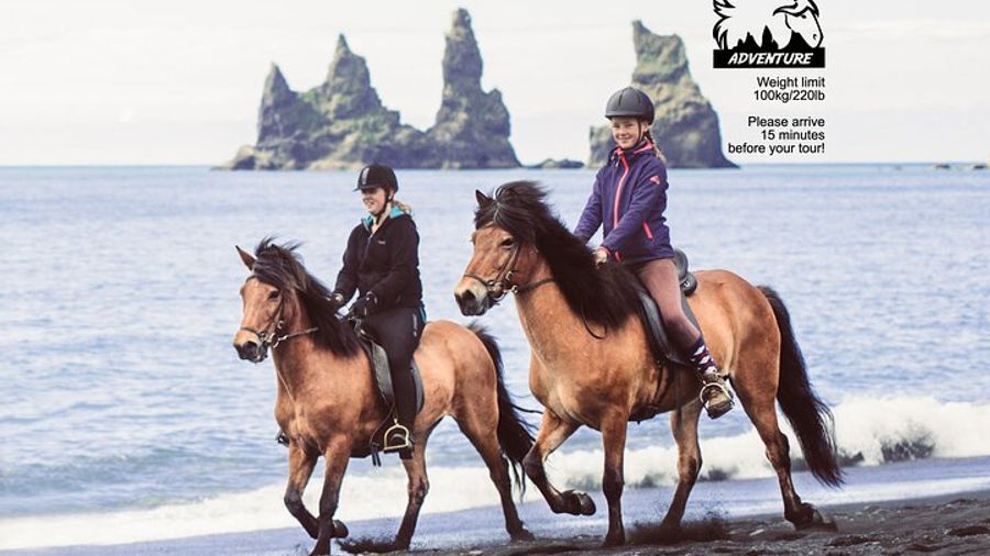 Vik Horse Riding Tour on Black Sand Beach