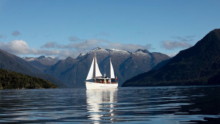 Lake Te Anau Afternoon Cruise and Guided Nature Walk