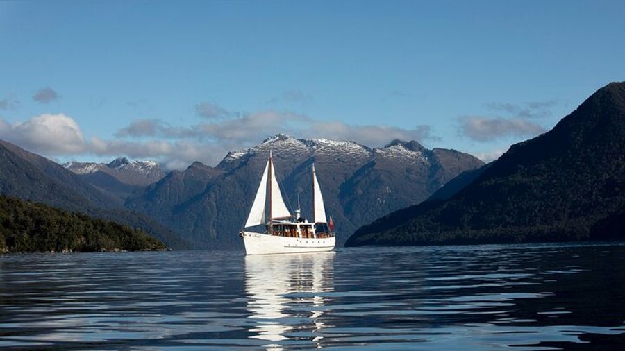 Lake Te Anau Yacht Cruise and Guided Nature Walk With Snacks