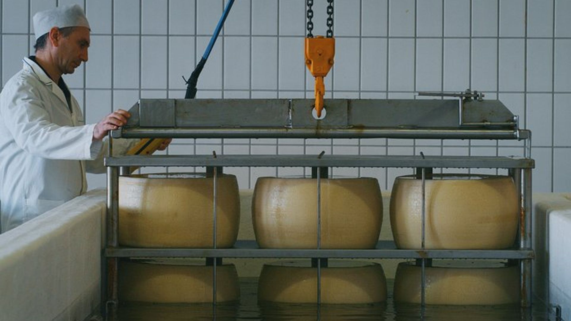 Parmigiano-Reggiano Cheese Factory Small group Tour From Parma