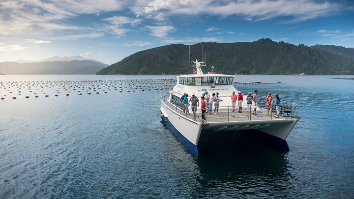 Queen Charlotte Sound Marlborough Seafood Cruise From Picton