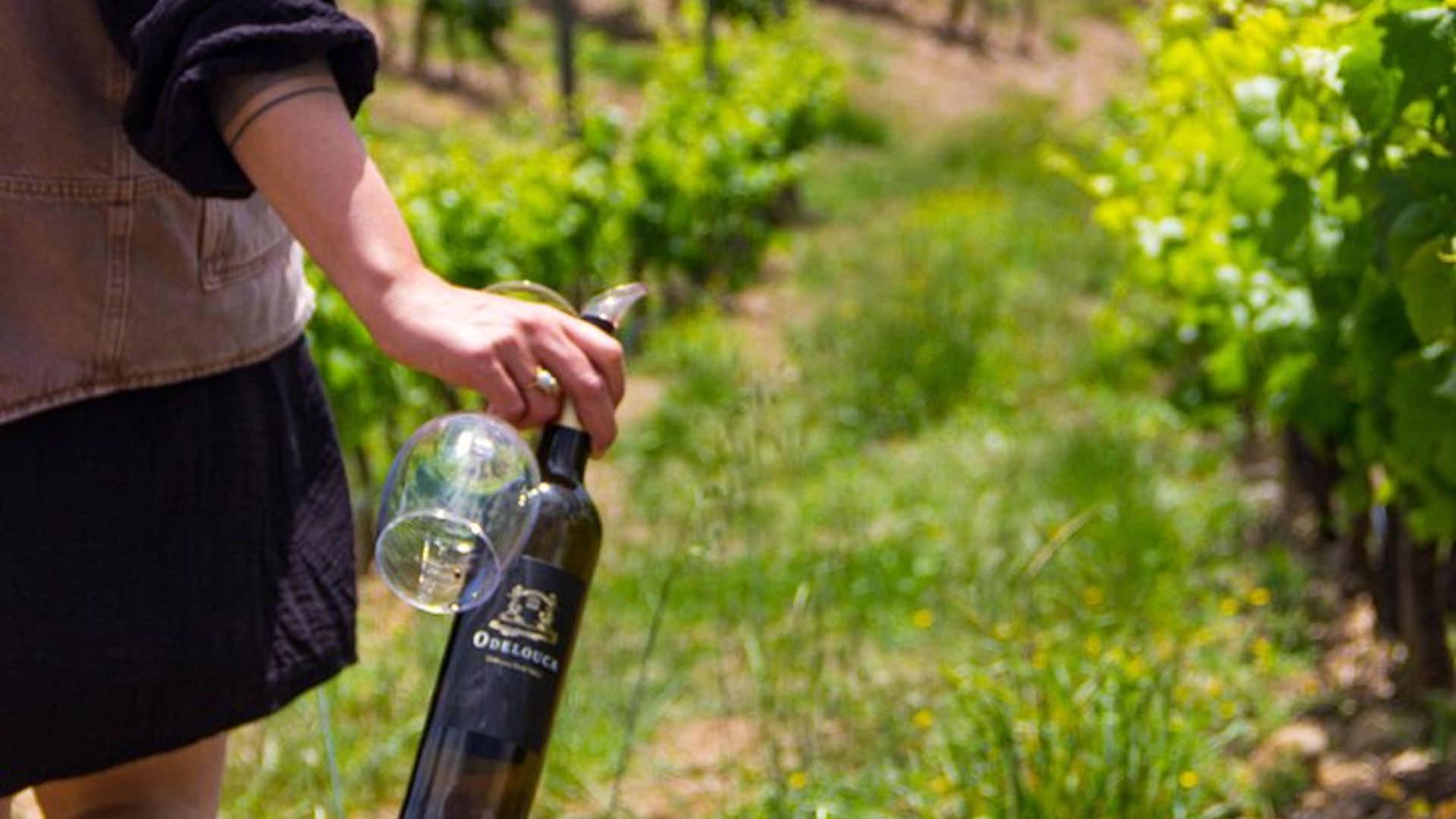 Albufeira Wine Tour: 2 Vineyards, 6 Tastings & Historic Silves