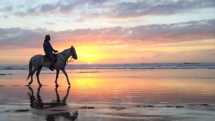 Horse riding at sunset for 2 hours