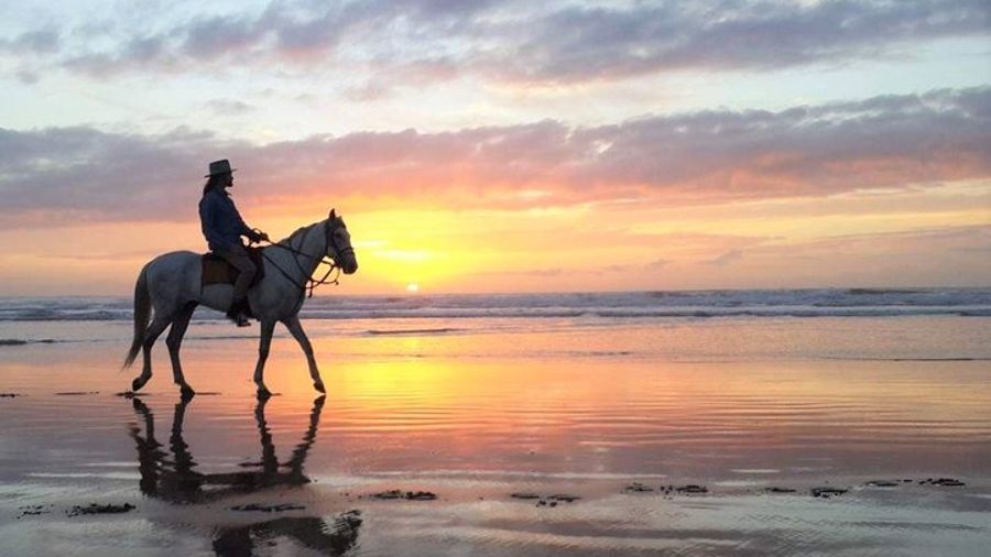 Horse riding at sunset for 2 hours
