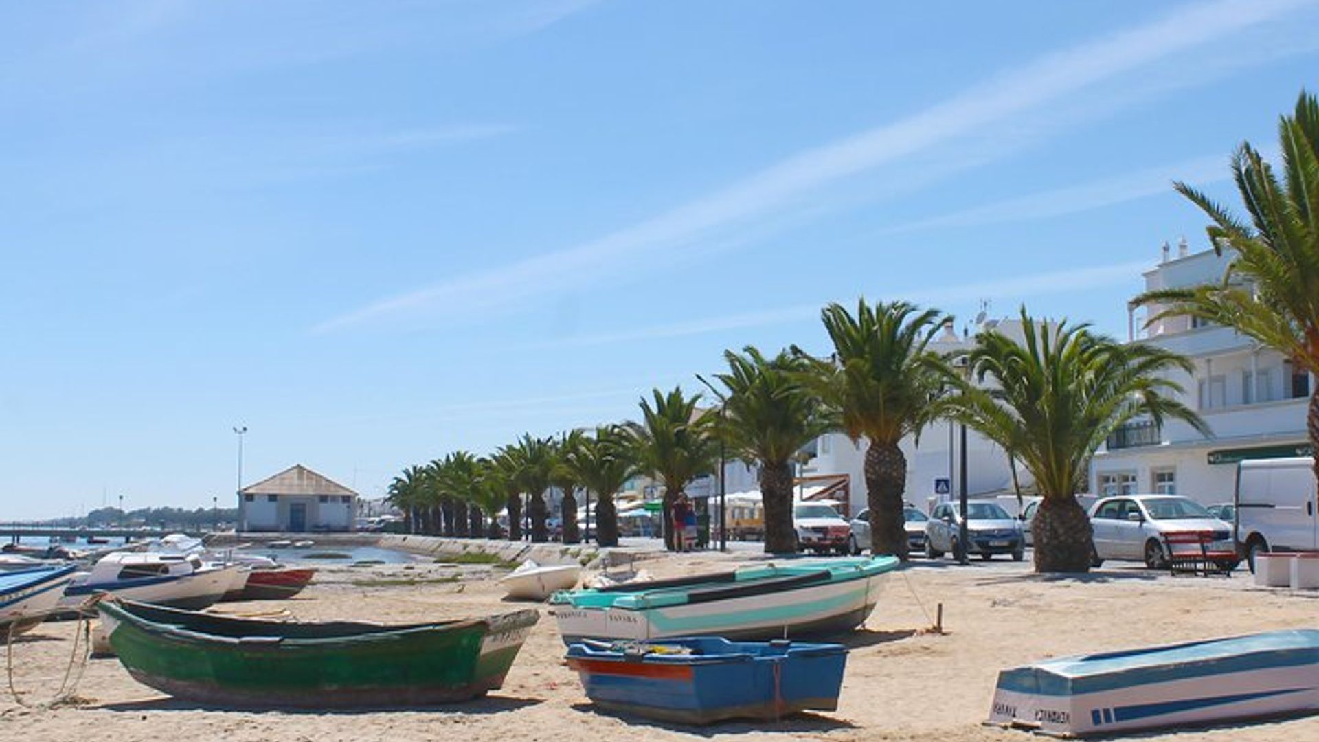 Octopus Route: Halbtägige Bootsfahrt