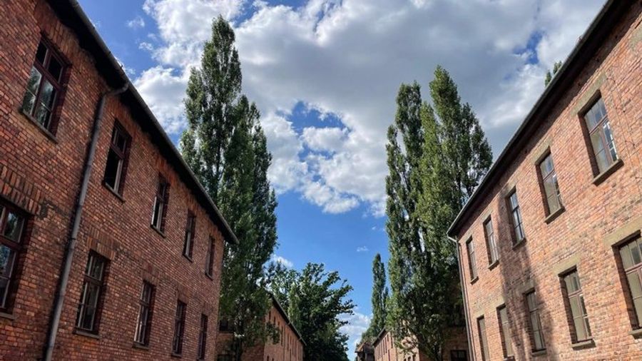 Auschwitz Birkenau Guided Tour Tickets and Transfer from Krakow