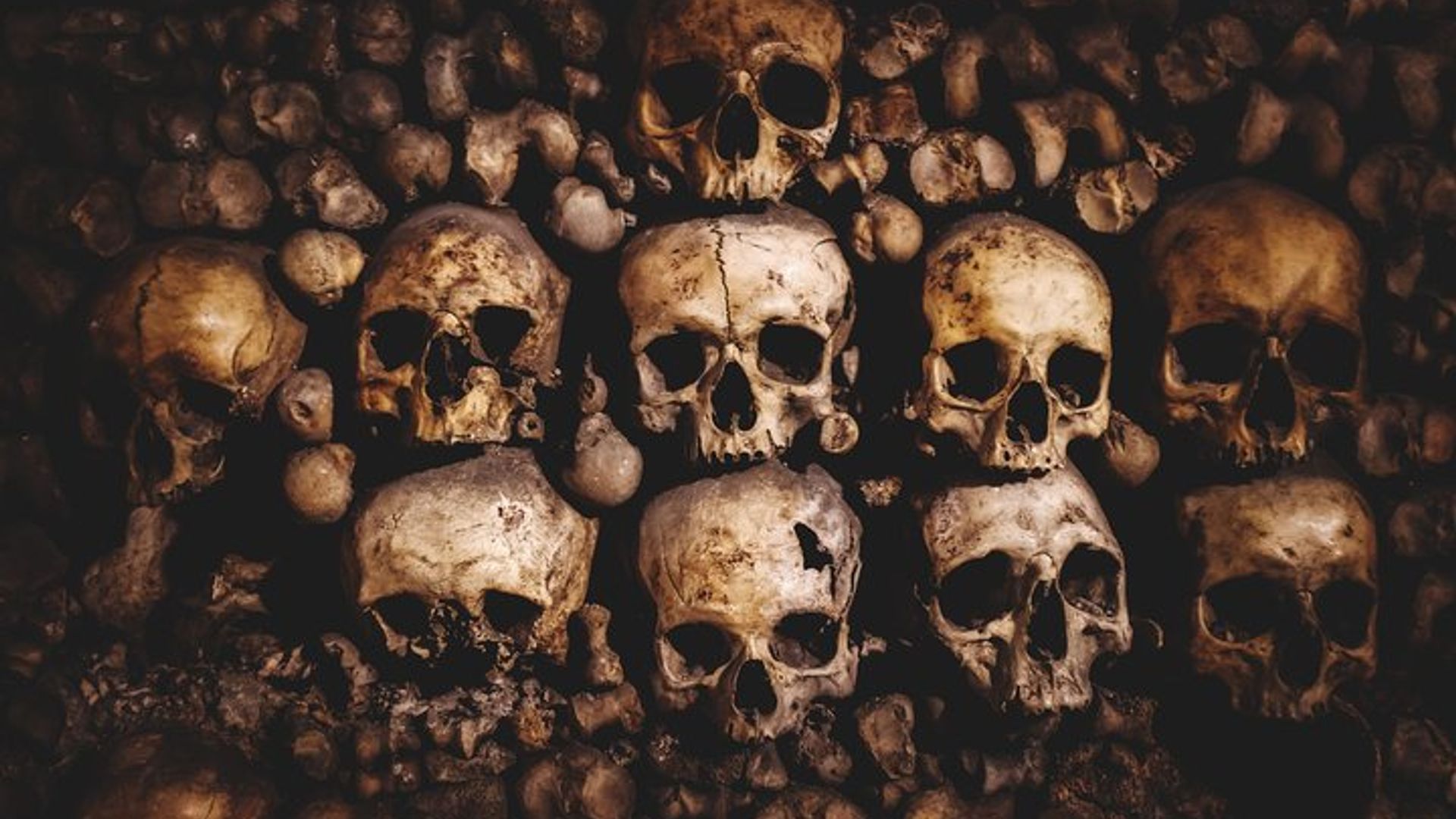 Catacombs of Paris: SKIP-THE-LINE + Private Audio Tour on Mobile App