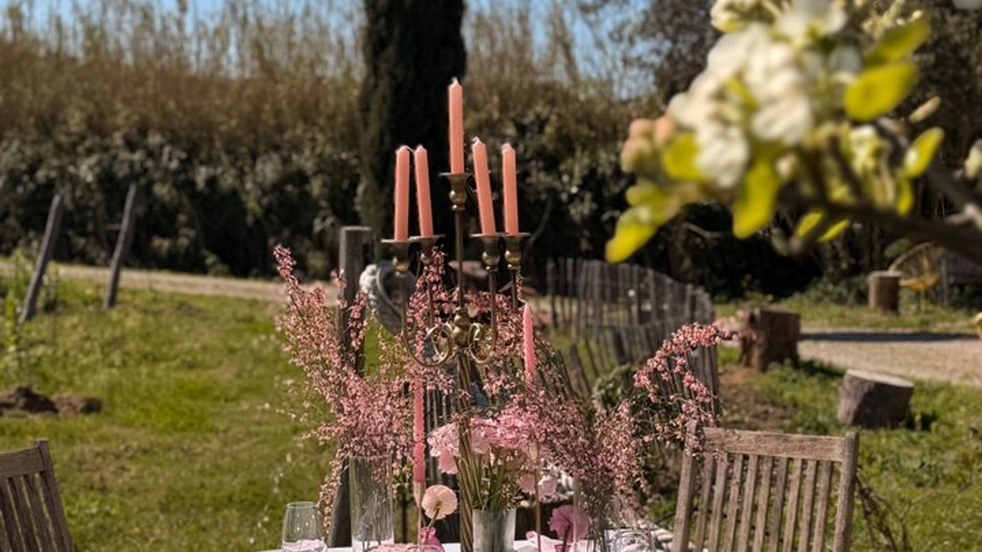 Cena en el viñedo Saint Tropez