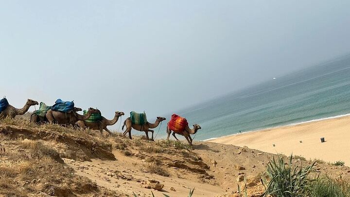 Tangier Private Day Tour From Tarifa Including Ferry & Camel Ride