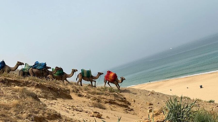 Tangier Private Day Tour From Tarifa Including Ferry & Camel Ride