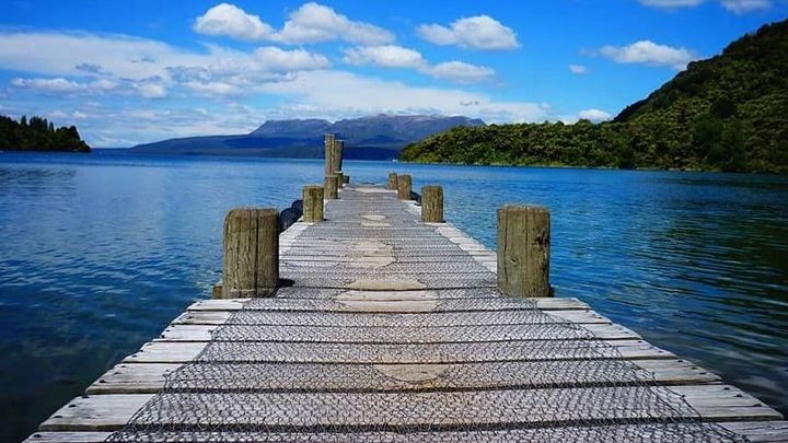 Rotorua Lakes Highlights Half-Day Small-Group Tour With Hike