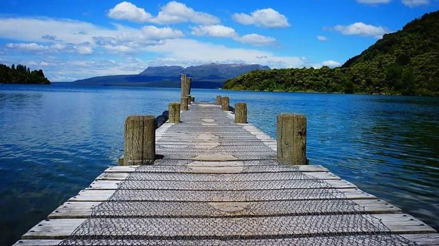 Rotorua Lakes Highlights Half-Day Small-Group Tour With Hike