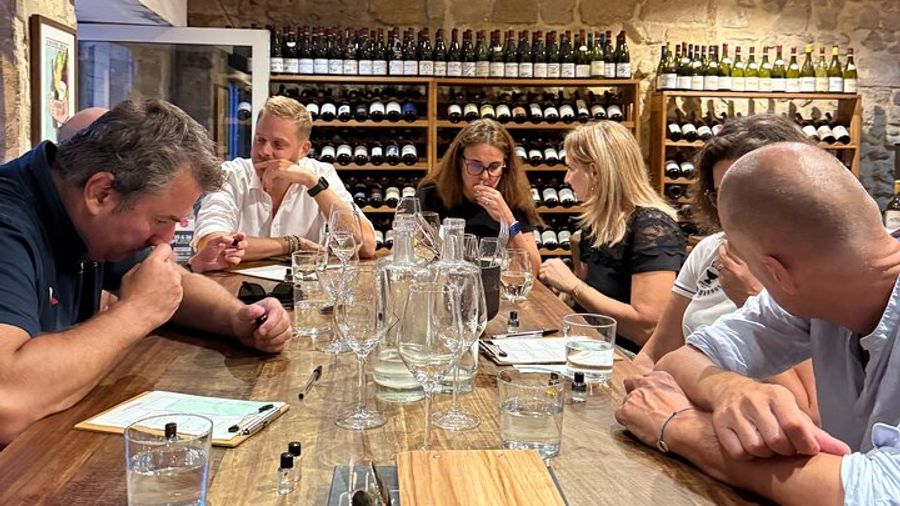 Bordeaux Small-Group Food and Wine Walking Tour with a Local