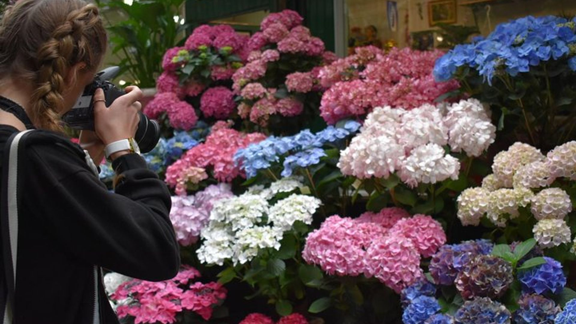 Paris Private Market Tour
