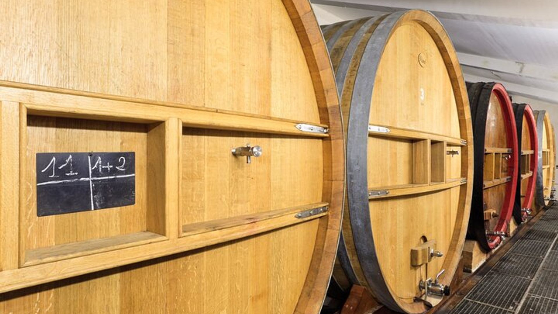 Visite Privée du Vignoble et Dégustation des Vins de Bandol