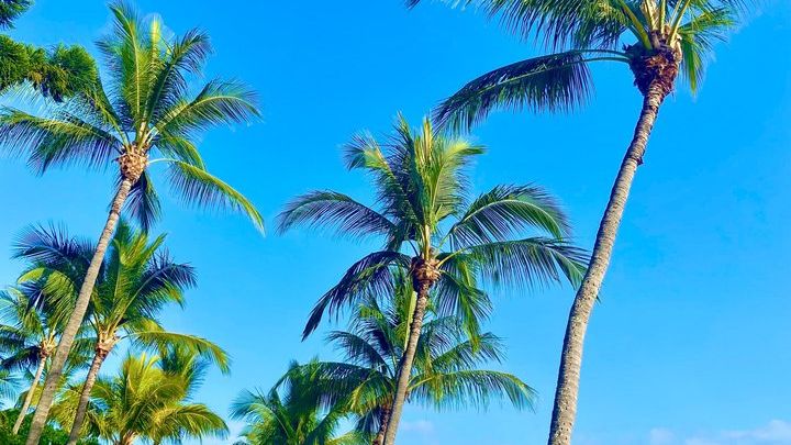 Private Airlie Beach Tuk-Tuk Tours
