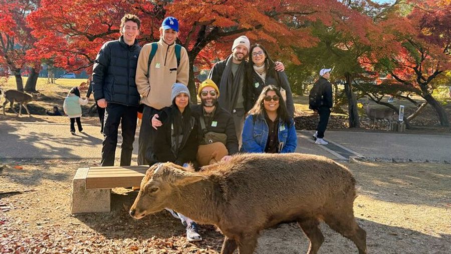 Nara and Kyoto 1-Day Bus Tour