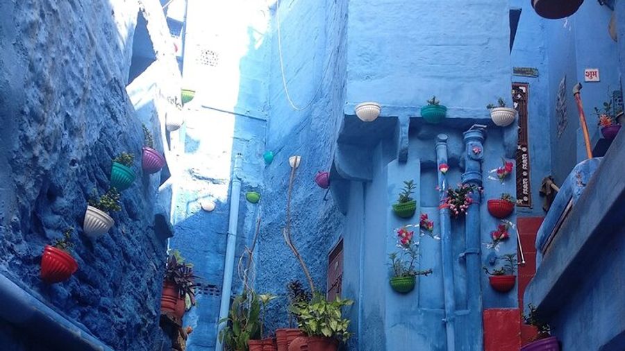 Jodhpur Private Guided Walking Tour