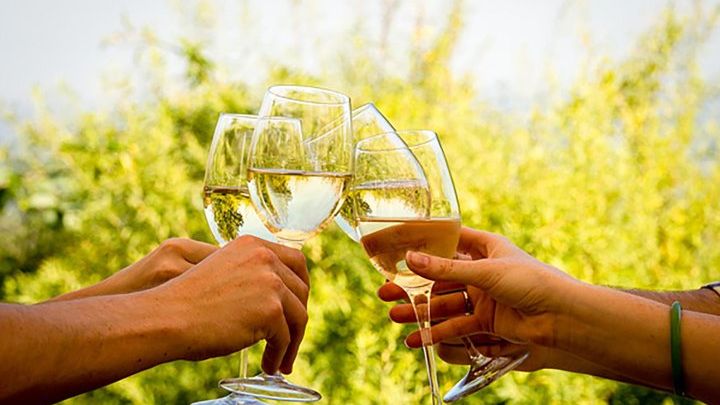 Franschhoek and Stellenbosch Wine Tour from Cape Town