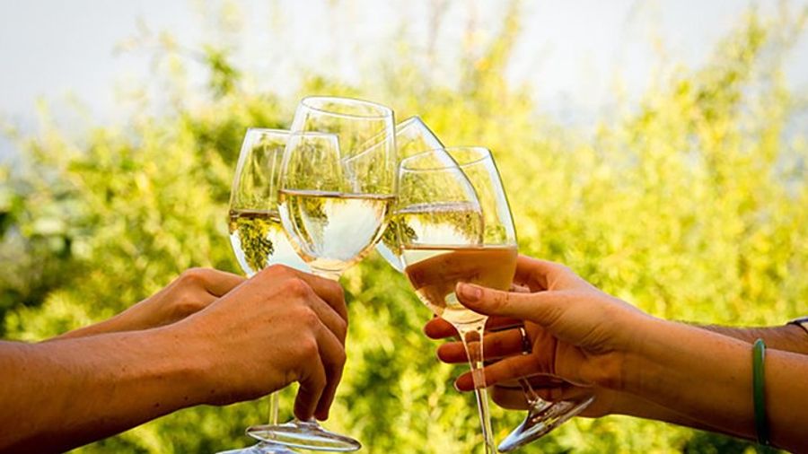 Franschhoek and Stellenbosch Wine Tour from Cape Town