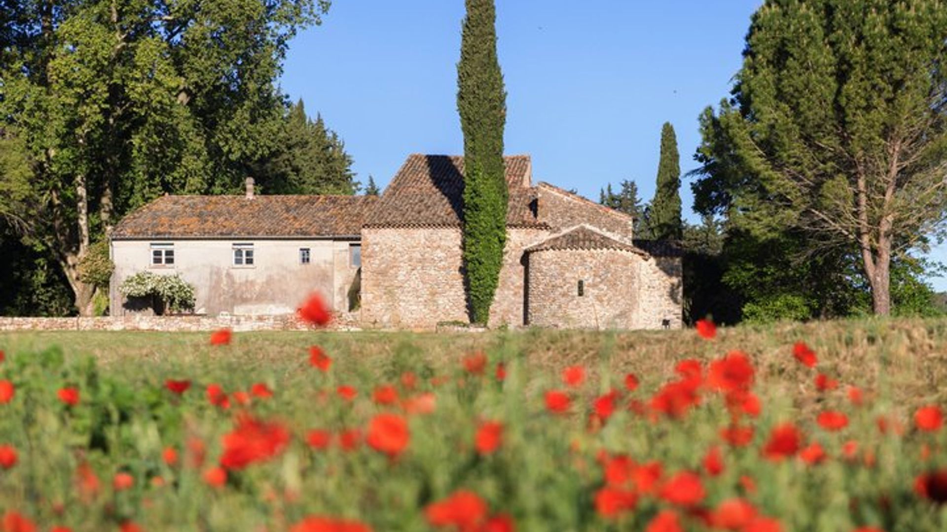Provence, Walk The Footprint of Time Track Game, Wine