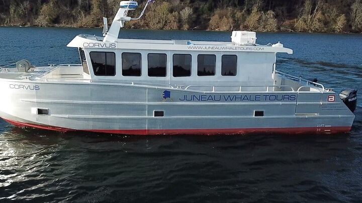 Juneau Whale-Watching and Coast Expedition