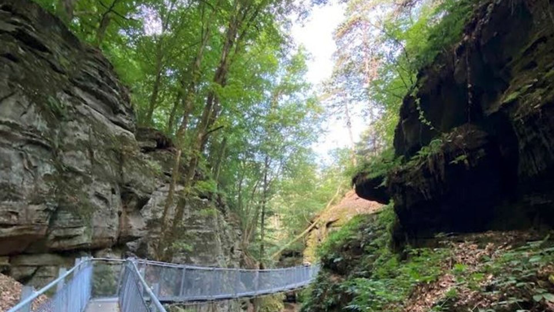 Balade au Mullerthal : Berdorf Rocks, Clifftop Wine & the Wolf's Gorge