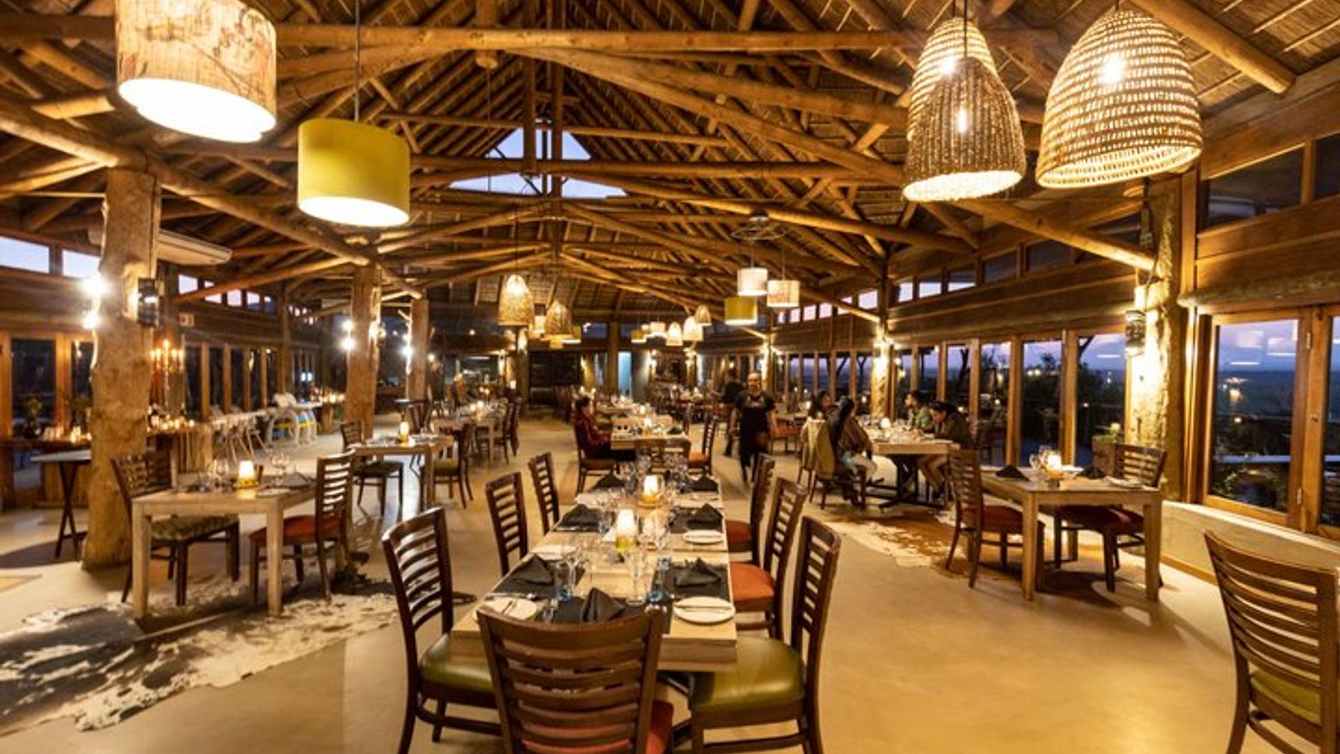 Safari en petit groupe de 2 jours sur la Garden Route au départ du Cap