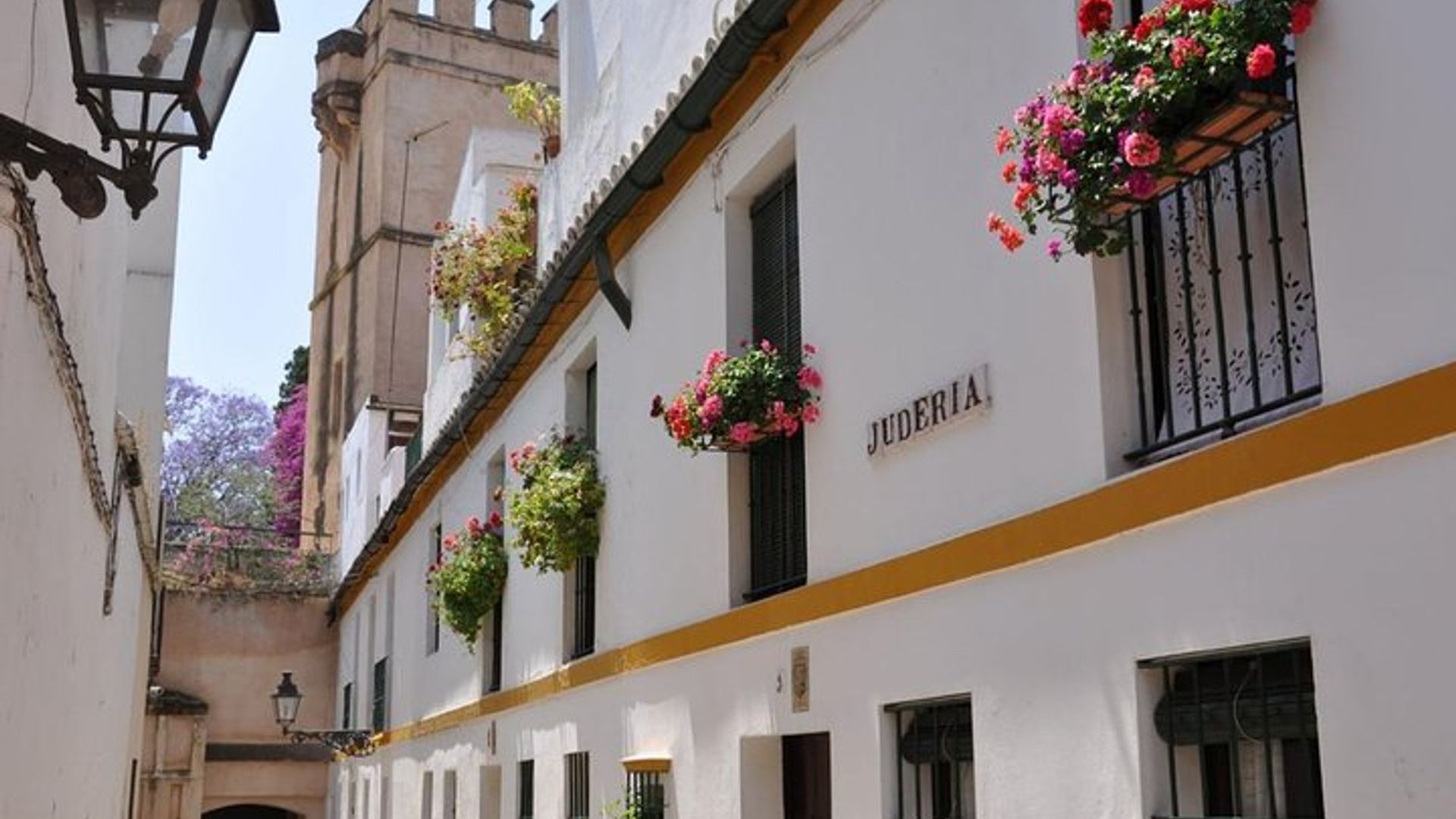 Passeio a pé pelo antigo bairro judeu de Santa Cruz.