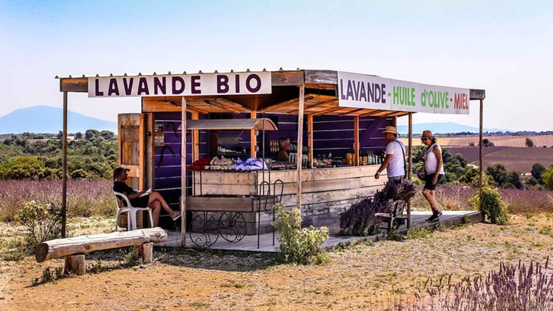 Excursión privada de un día completo a los campos de lavanda de Provenza