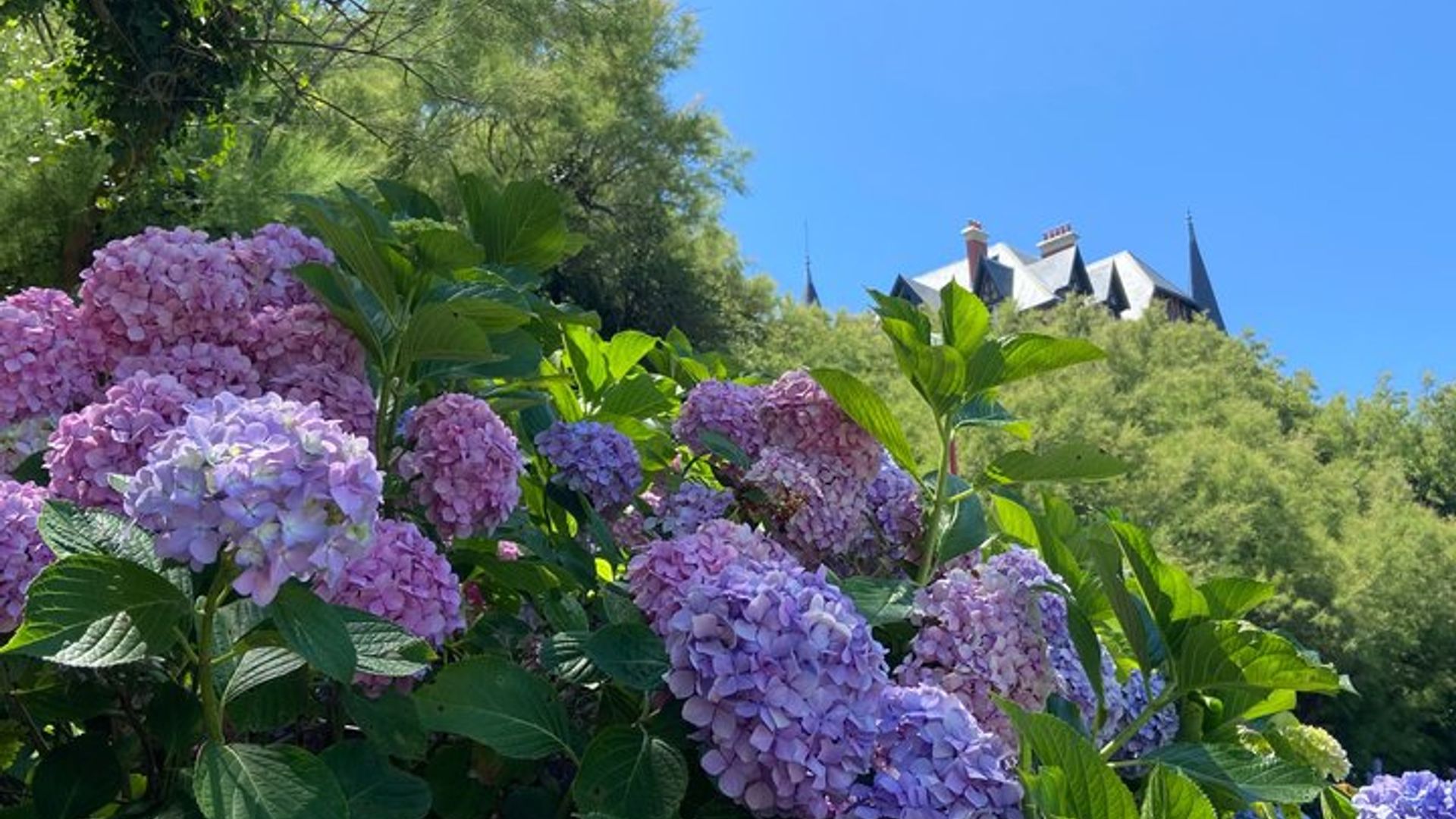 Biarritz et la Côte Basque Française Visite guidée privée