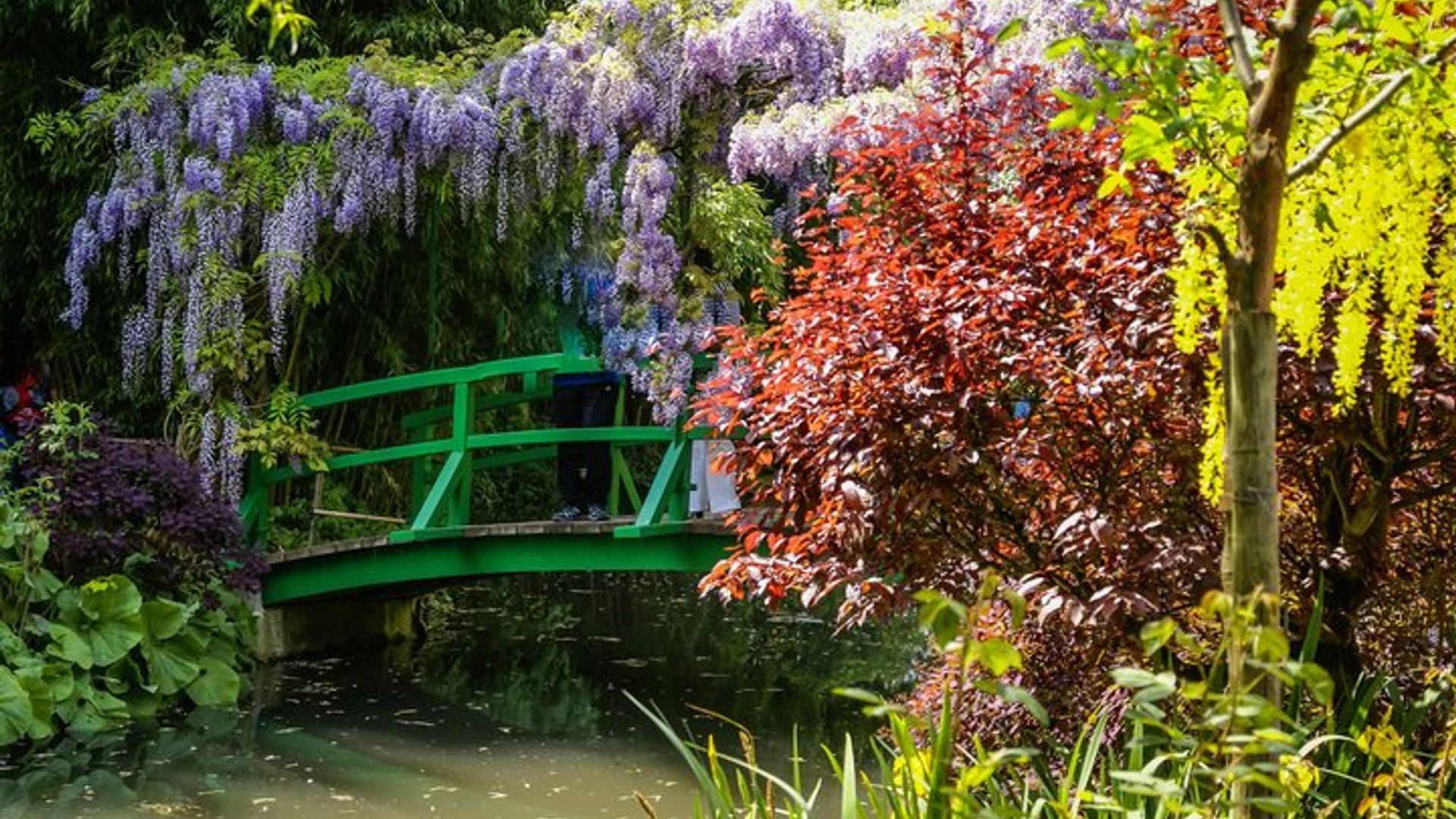 Visite privée de Giverny au départ du Havre avec prise en charge