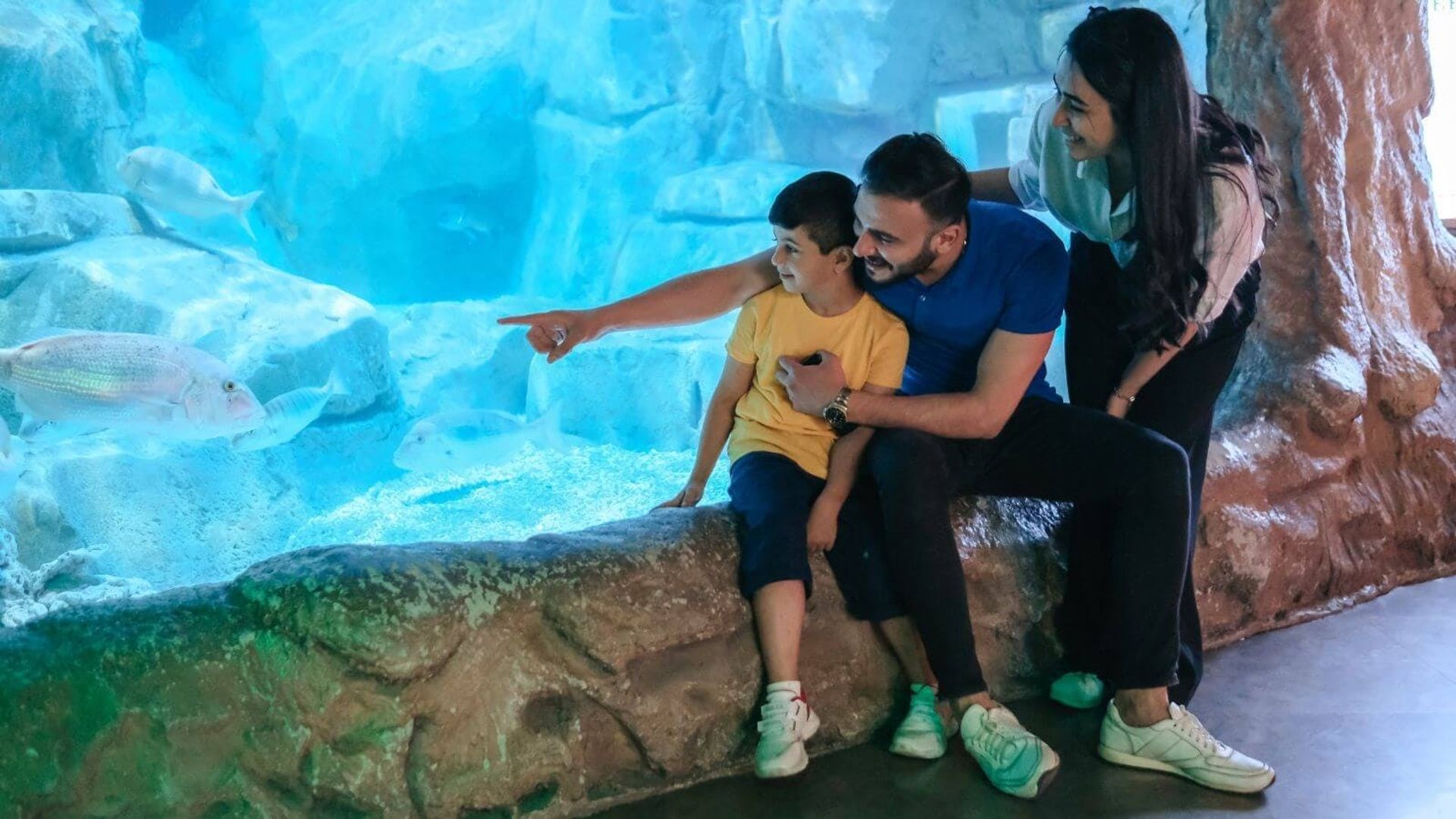 Barcelona city tour hop-on hop-off bus tickets with Aquarium