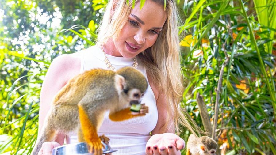 Monkey Land and Group Safari in Puerto Plata