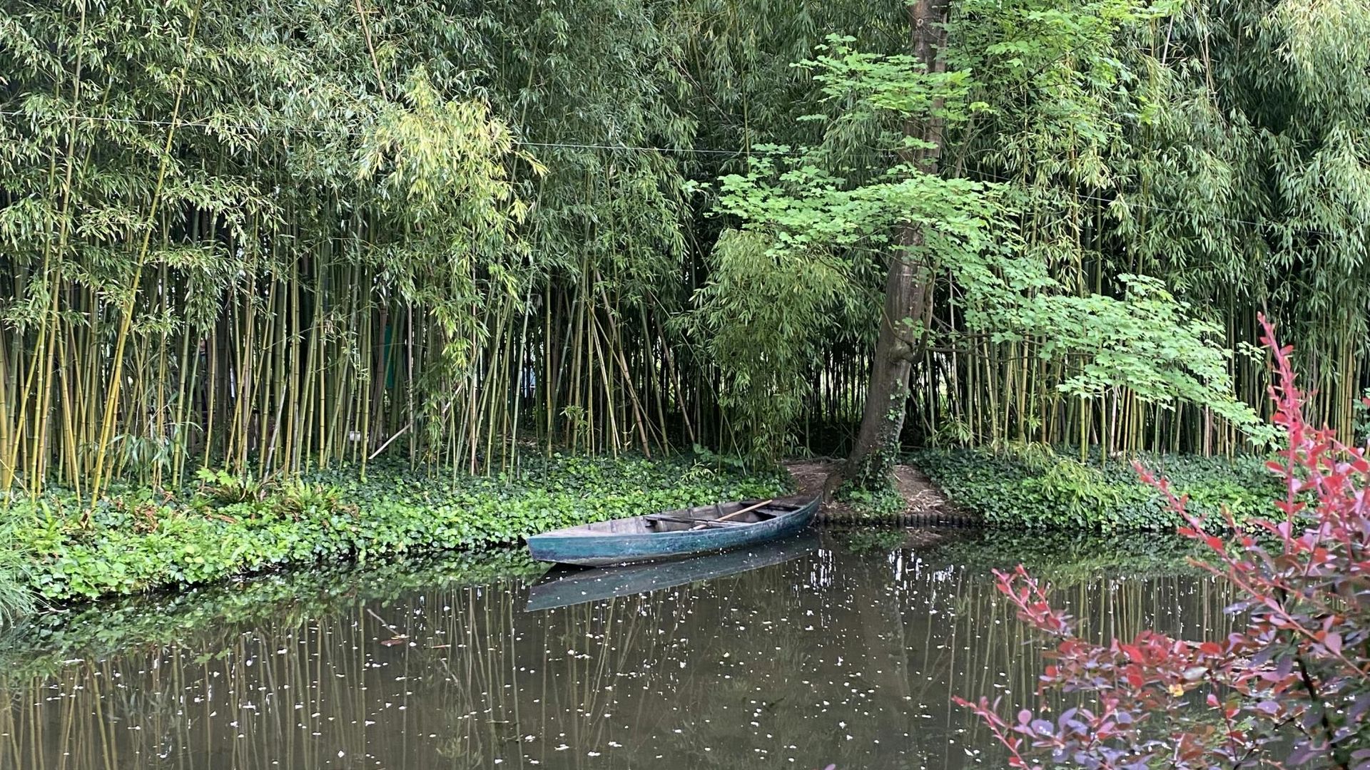 Giverny village walking tour and skip-the-line entry to Monet Garden
