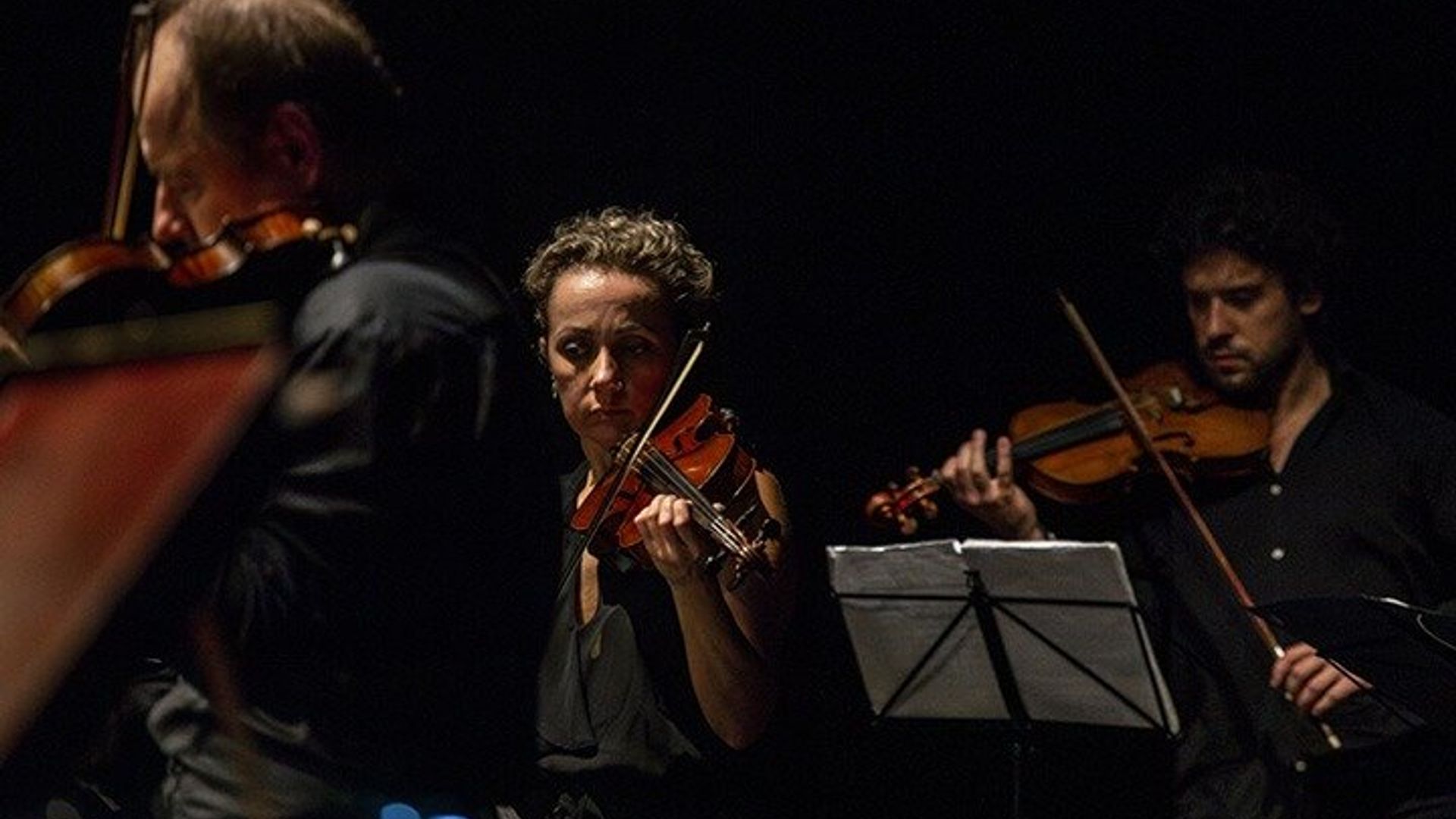 Violin Love Padua