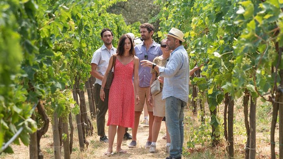 Sorrento: Local Farm Visit With Pizza Cookery Class