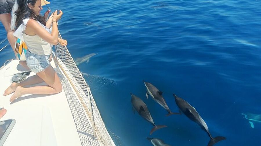 Private Sailing Tour from Puerto Banus Marbella (10 pax)