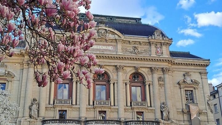 Private Historical Tour of Lyon: Curiosities and Secrets