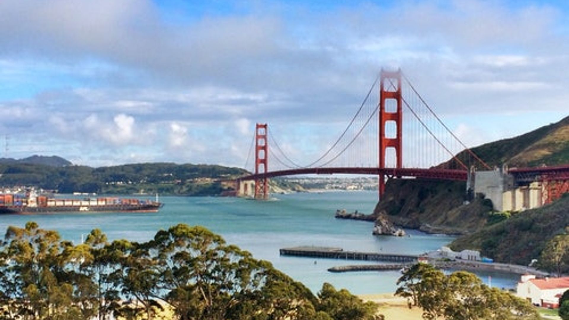 From San Francisco: Day Trip to Muir Woods & Sausalito image 2